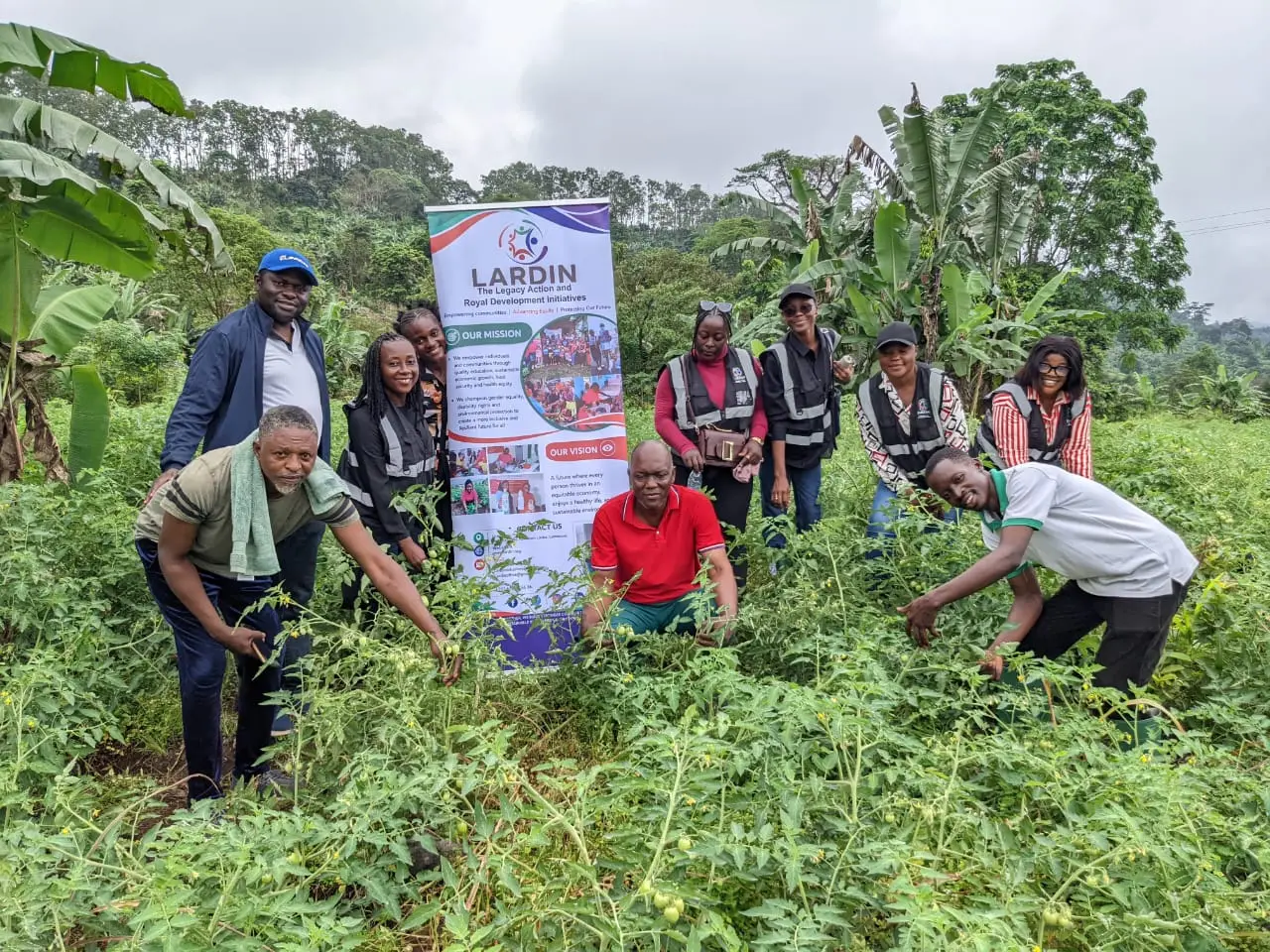LARDIN Follows Up on Tomato Seedling Support to Farmers in Wututu, Buea